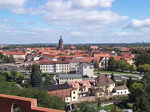 Eilenburg vom Burgberg.JPG