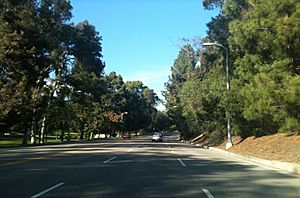 Elysian park.JPG