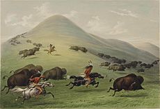 George Catlin - Buffalo hunt