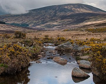 Glendasan River, Wicklow Mountains.jpg