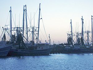 Harbor Palacios Texas