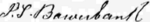 James Scott Bowerbank Signature.png