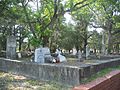 Jax FL Old City Cem01