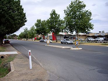 Jindera - south towards Albury.JPG