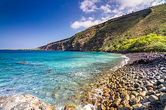 Kealakekua Bay in the morning.jpg