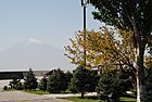 Memorial trees planted at the Tsitsernakaberd (2)