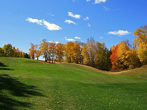 Minnesota Fall-Goodbye