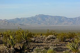 New York Mountains from Nipton Road 2.jpg