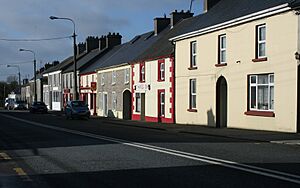 Main Street, Moneygall