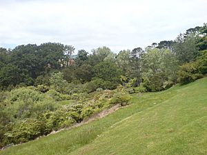 Oakley Creek In Waterview, Unitec