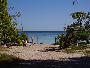 Path to the beach, North West Island, Great Barrier Reef