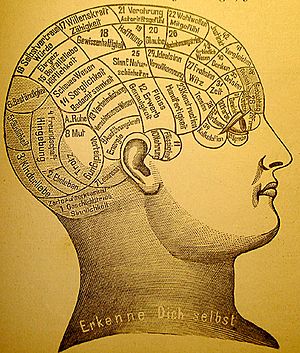 Phrenology1