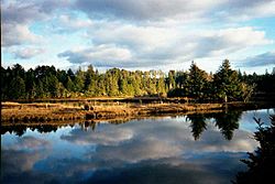 South Slough NERR - Oregon