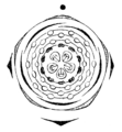 Spiraea hypericifolia flowerdiagram