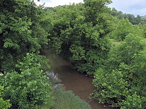 Sugar Creek (Middle Island Creek).jpg