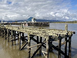 Westport Cattle Wharf MRD