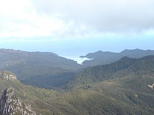 Whangaparapara From Mount Hobson (cropped)