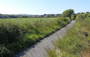 Whitland&Cardigan trackbed