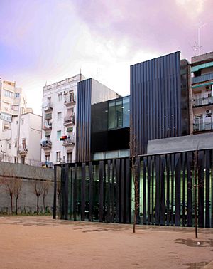 BIBLIOTECA RCR