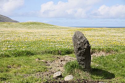 Borve Standing Stones