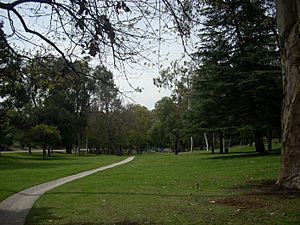 Chavez-ravine-arboretum-view