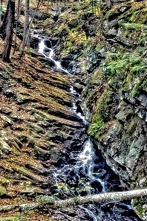 Chesterfield Gorge - Overview