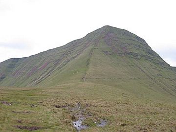 Cribyn.jpg