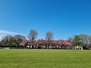 Douglas Park, Bo'ness