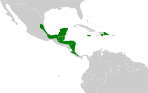 Eupsittula nana map.svg