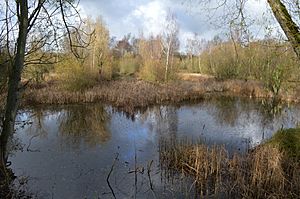 Felmersham Gravel Pits 2.JPG