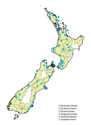 Feredayia graminosa collection locations map.jpg