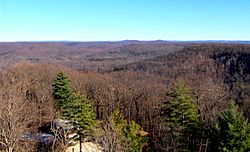 Goodpasture-standing-stone-tn1