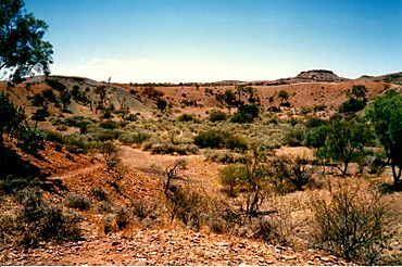 Henbury Meteorite Crater.jpg