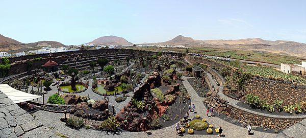 Jardín de cactus pano