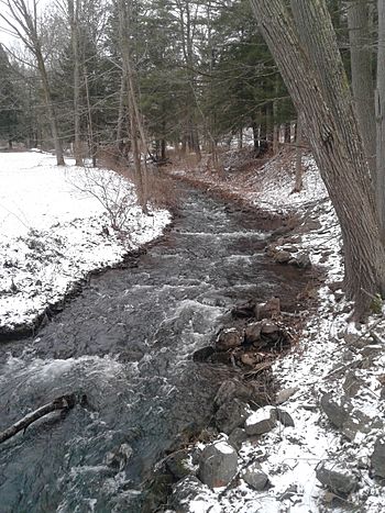 LeatherstockingCreekNY.jpg