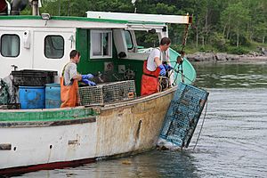 Lobster Trap