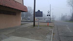 NelsonStreetBluesTrailMarker