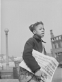 Newsboy selling the Chicago Defender