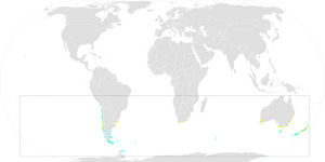 Northern Giant-Petrel Range.png