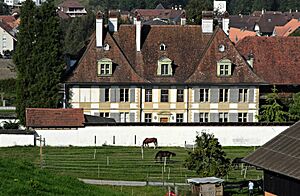 Oberdiessbach Neues Schloss-01