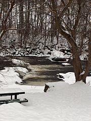 Parc jean-roger-durand