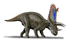 Pentaceratops BW