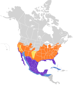 Polioptila caerulea map.svg