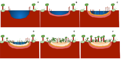 Pond sucession