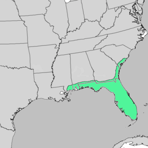 Quercus myrtifolia range map.PNG