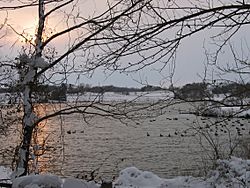 The Rachel Carson Greenway in February 2006