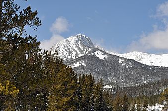 RossPeakBridgerRange2010