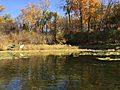 Saunders Lake Mound MN 04