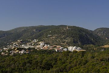 Serra de na Burguesa.jpg