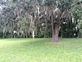 Slave quarters site, Gamble Plantation